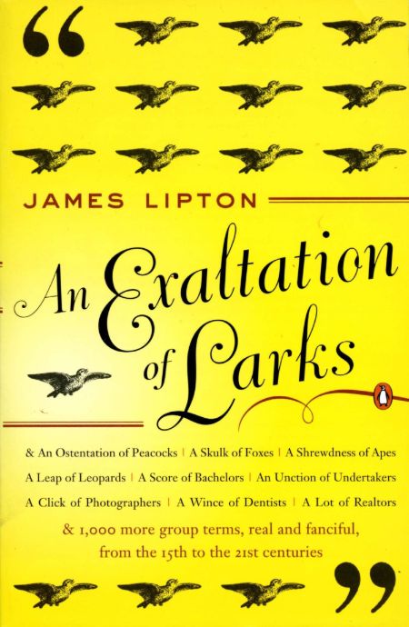 James Lipton's book An Exaltation of Larks