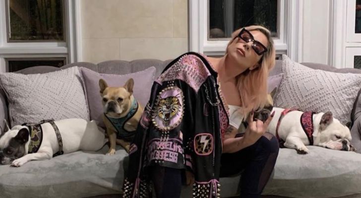 Lady Gaga's Dogs Recovered Unharmed After Dog Walker Shooting