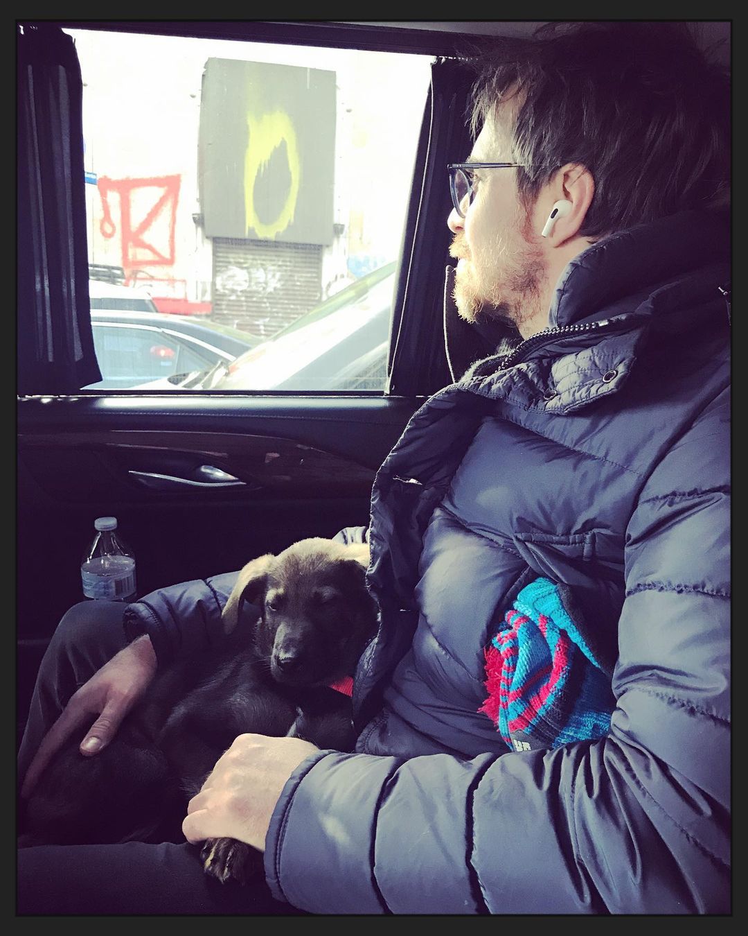 Since Leslie Bibb and Sam Rockwell are dog lovers they rescued a puppy anfd brought it home.
