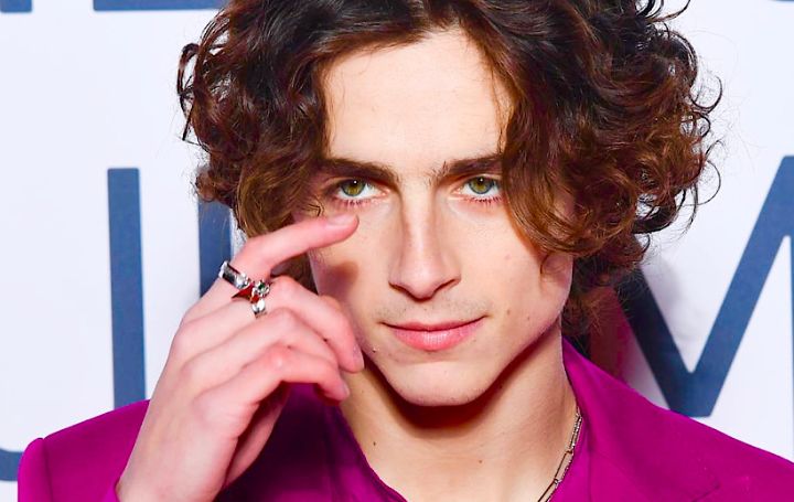 What is Timothée Chalamet's Net Worth in 2021? Find It Out Here