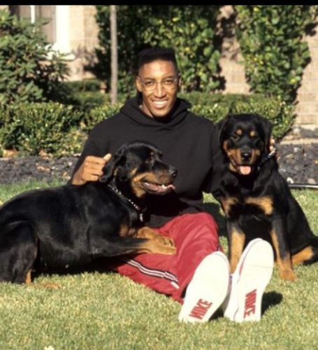 Scottie Pippen is a retired basketball player from the United States who is best remembered for his time with the Chicago Bulls.