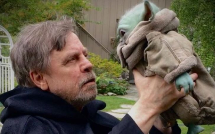 How Rich is Mark Hamill? Here is the Total Net Worth and Earnings