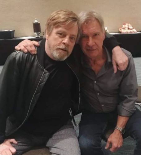 Mark Hamill is well known for voicing the Joker from DC's comic book universe and his role as Luke Skywalker. 