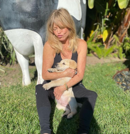The 74-year-old Goldie Hawn amasses a staggering net worth of $60 million.