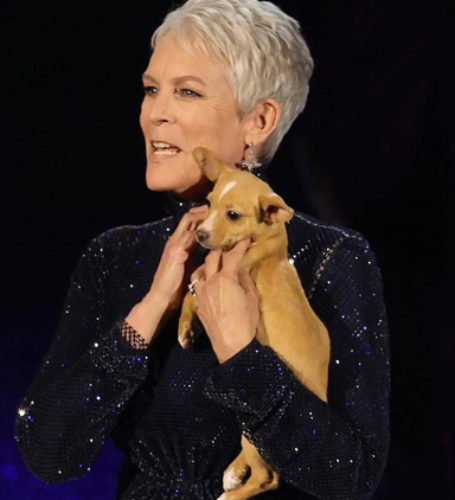Jamie Lee Curtis and Christopher Guest paid $2.2 million for a property in Santa Monica in 2016.